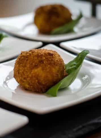 Wedding catering sample on a white plate
